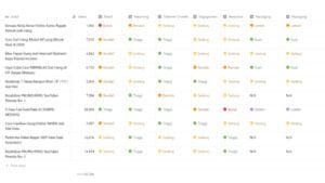 SSO Workspace Laporan